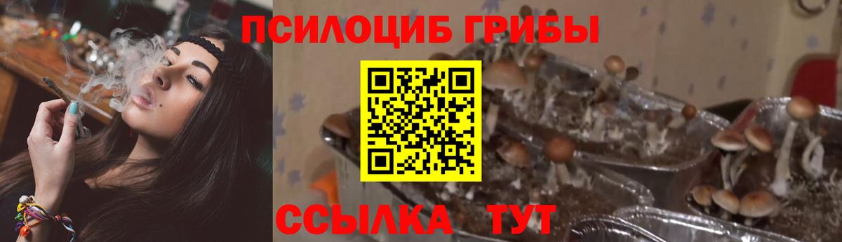 Лабинск  Галлюциногенные грибы ЛСД  Псилоцибиновые грибы мицелий  Вход с VPN 